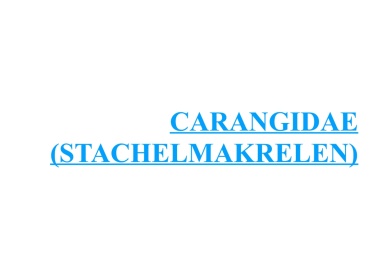 Carangidae