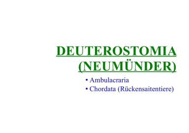 Deuterostomia (deuterostomes)