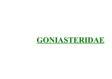 Goniasteridae