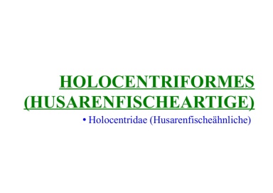 Holocentriformes (Husarenfischeartige) 