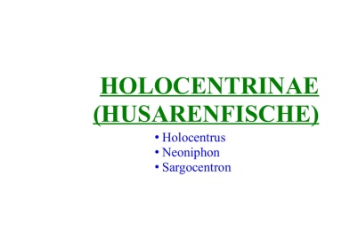 Holocentrinae (Husarenfische) 