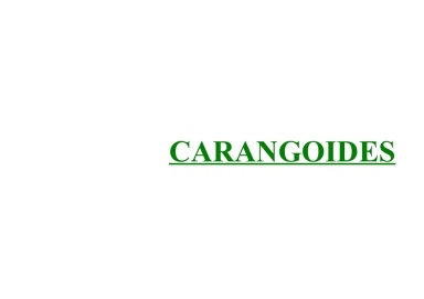Carangoides