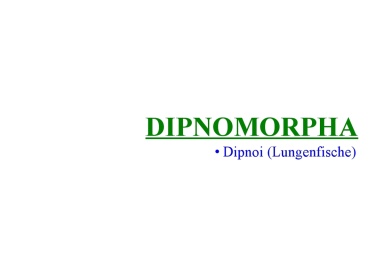 Dipnomorpha