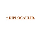 † Diplocaulidae