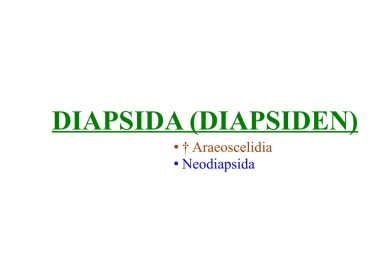 Diapsida (diapsids)