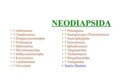 Neodiapsida
