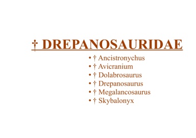 † Drepanosauridae