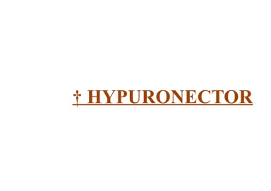 † Hypuronector