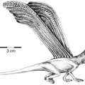 † Longisquama insignis (vor etwa 247,2 bis 201,3 Millionen Jahren)