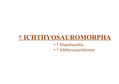 † Ichthyosauromorpha