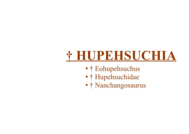 † Hupehsuchia