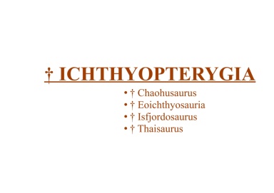 † Ichthyopterygia
