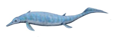 † Chaohusaurus geishanensis (vor etwa 251,9 bis 247,2 Millionen Jahren)