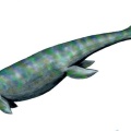 † Utatsusaurus hataii (vor etwa 251,9 bis 247,2 Millionen Jahren)