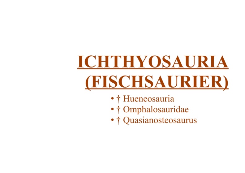 33740.07.2.1.2.2..IchthyosauriaFischsaurier.jpg