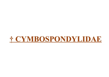 † Cymbospondylidae
