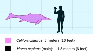 † Californosaurus perrini (vor etwa 228 bis 208,5 Millionen Jahren)