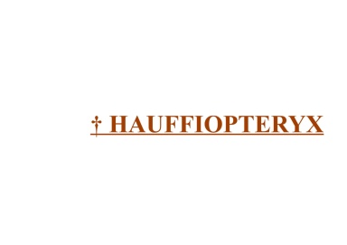 † Hauffiopteryx