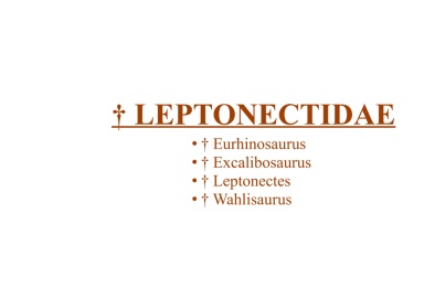 † Leptonectidae