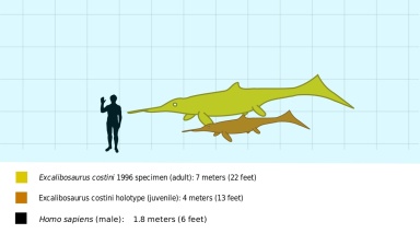 † Excalibosaurus sp. (vor etwa 201,3 bis 174,1 Millionen Jahren)