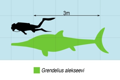 † Grendelius alekseevi (vor etwa 157,3 bis 145 Millionen Jahren)