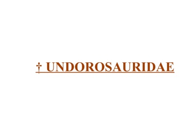 † Undorosauridae