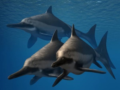 † Ichthyosaurus anningae (vor etwa 201,3 bis 190,8 Millionen Jahren)