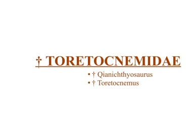 † Toretocnemidae