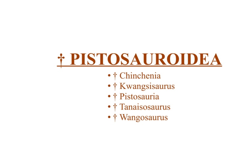 † Pistosauroidea
