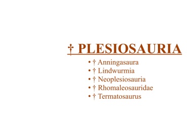 † Plesiosauria