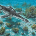 † Kimmerosaurus langhami (vor etwa 163,5 bis 145 Millionen Jahren)
