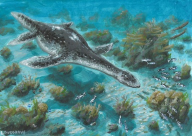 † Kimmerosaurus langhami (vor etwa 163,5 bis 145 Millionen Jahren)