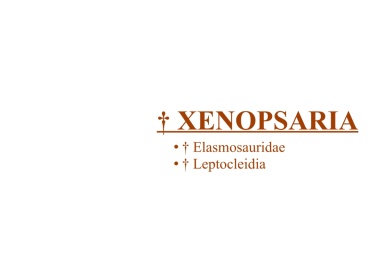 † Xenopsaria