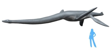 † Hydrotherosaurus alexandrae (vor etwa 72 bis 66 Millionen Jahren)