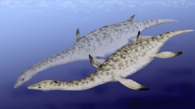 † Nichollssaura borealis (vor etwa 112,9 bis 100,5 Millionen Jahren)