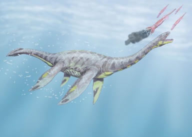 † Seeleyosaurus guilelmiimperatoris (vor etwa 182,7 bis 174,1 Millionen Jahren)