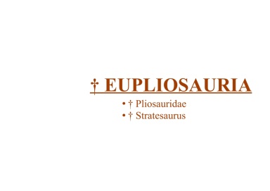 † Eupliosauria