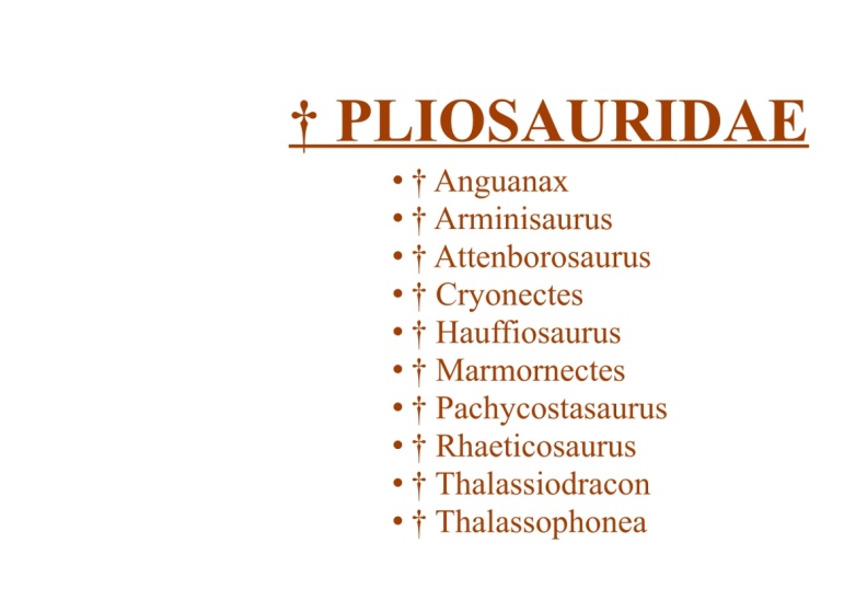 33740.12.3.1.5.3.4.3.2.2.1..Pliosauridae.jpg