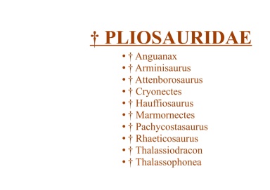 † Pliosauridae