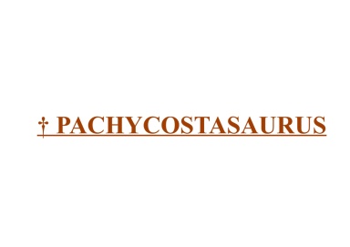 † Pachycostasaurus