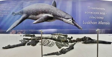† Luskhan itilensis (vor etwa 130,7 bis 126,3 Millionen Jahren)