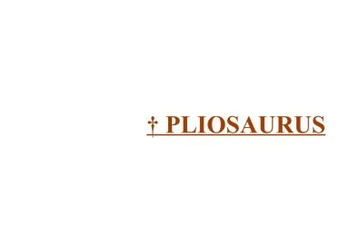 † Pliosaurus