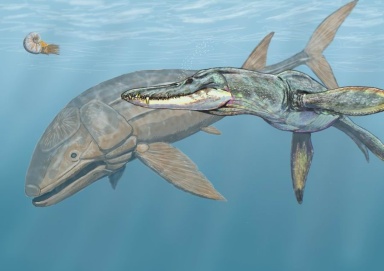 † Pliosaurus rossicus (vor etwa 166,1 bis 152,1 Millionen Jahren)