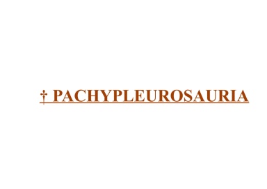 † Pachypleurosauria