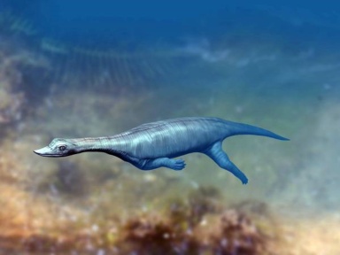 † Wumengosaurus delicatomandibularis (vor etwa 247,2 bis 242 Millionen Jahren)