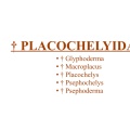 † Placochelyidae