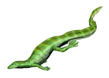 † Hovasaurus boulei (vor etwa 254,2 bis 251,2 Millionen Jahren)