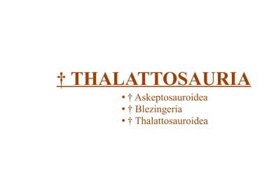 † Thalattosauria