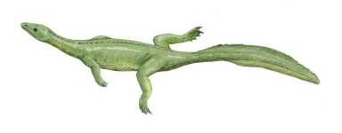 † Miodentosaurus brevis (vor etwa 235 bis 201,3 Millionen Jahren)