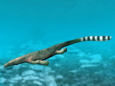 † Thalattosaurus alexandrae (vor etwa 235 bis 201,3 Millionen Jahren)